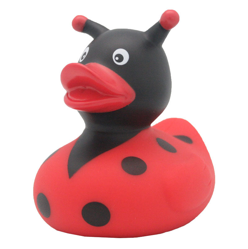 Ladybug Duck