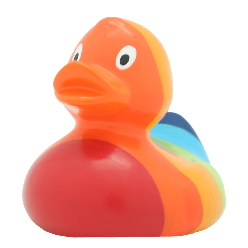 Rainbow Duck