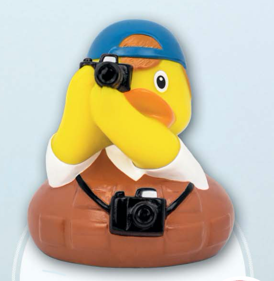 Photographer Duck