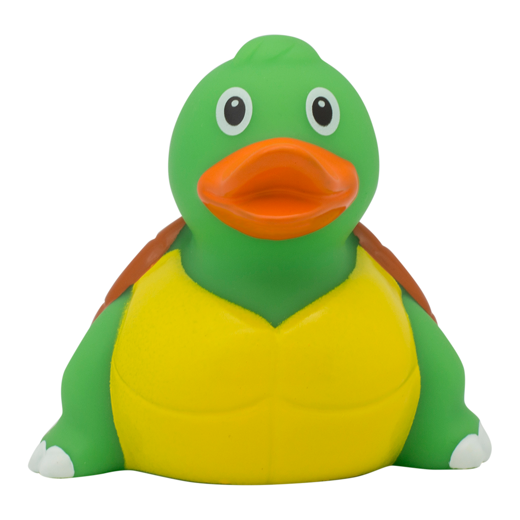 Turtle Duck