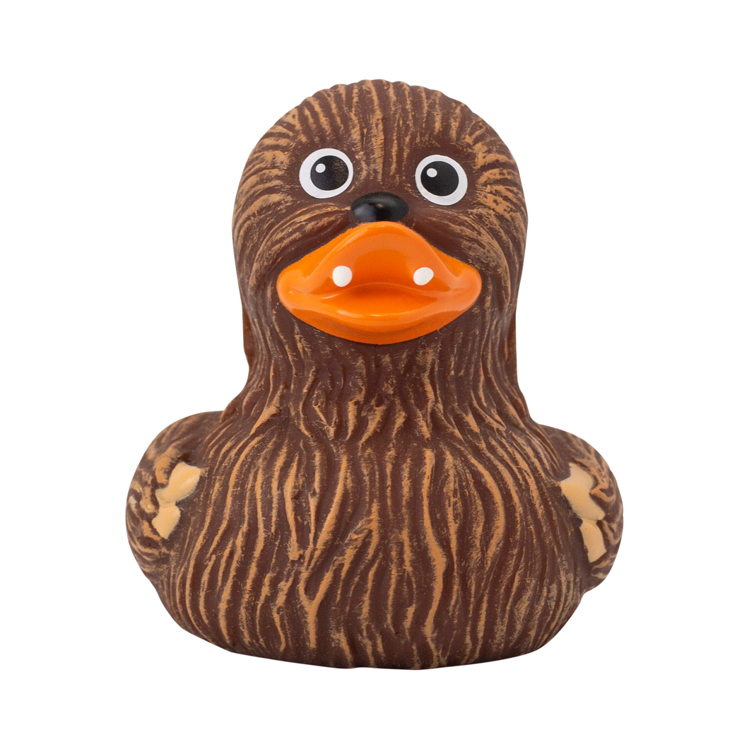 Whooping Duck