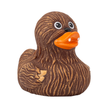 Load image into Gallery viewer, Whooping Duck
