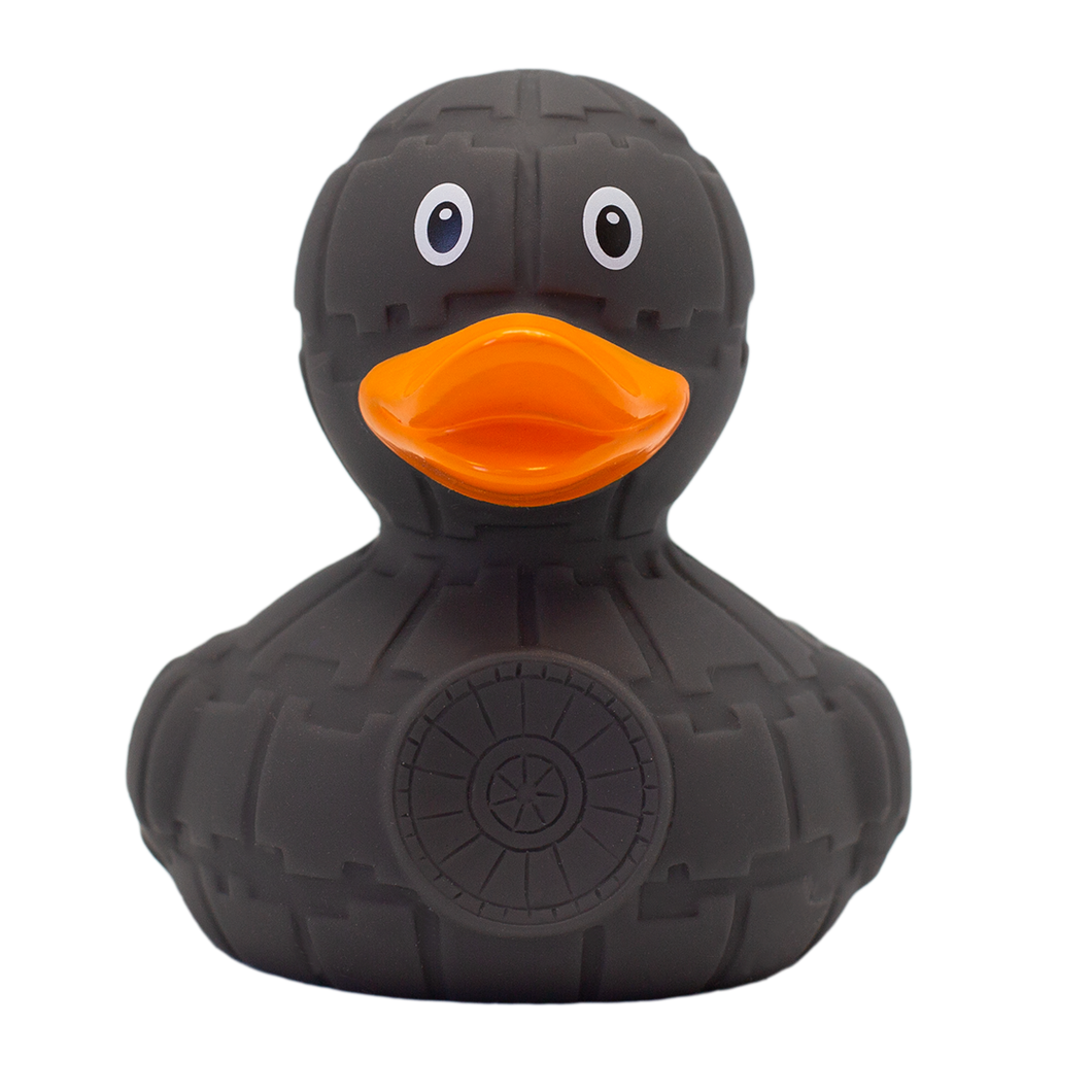 Grey Star Duck