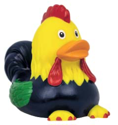 Rooster Duck