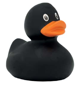 Black Duck